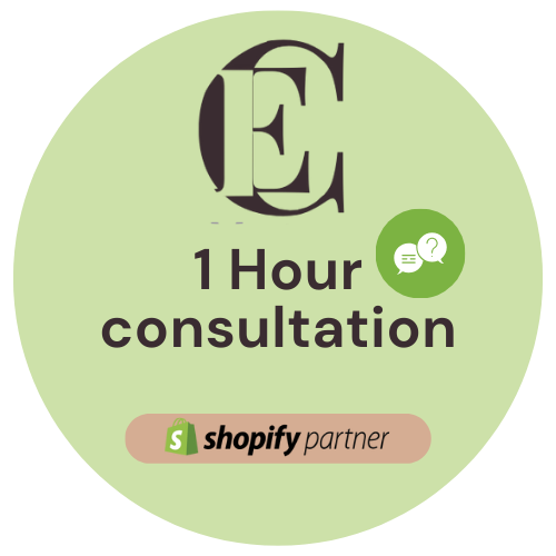 1:1 Consultation (60 minutes) — Shopify, Marketing & AI