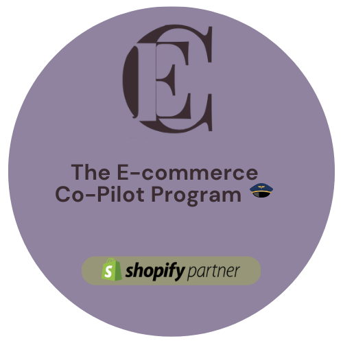 The E-commerce Co-Pilot Program 🧑‍✈️